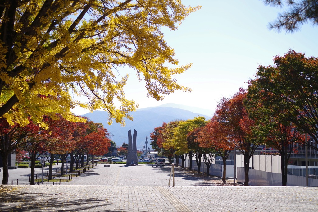 黄葉_文化会館2