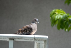 試し撮り_6