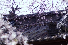 安養寺T90_5