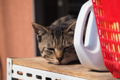お気に入りの場所で