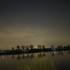 夜の沼
