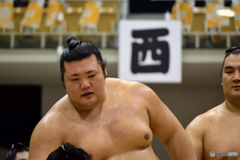 大相撲夏巡業 - アオーレ長岡場所 - 豊山関