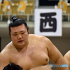 大相撲夏巡業 - アオーレ長岡場所 - 豊山関