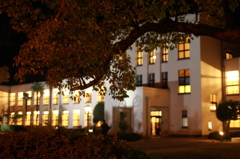 とよさとハロウィン