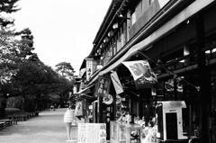 風に揺られて