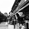 風に揺られて