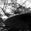 休まる場所