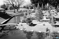 ミニチュアの庭園