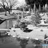 ミニチュアの庭園