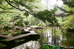 水面の散歩道