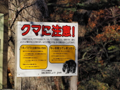クマに注意！