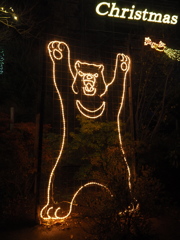 メリクリ　クマー