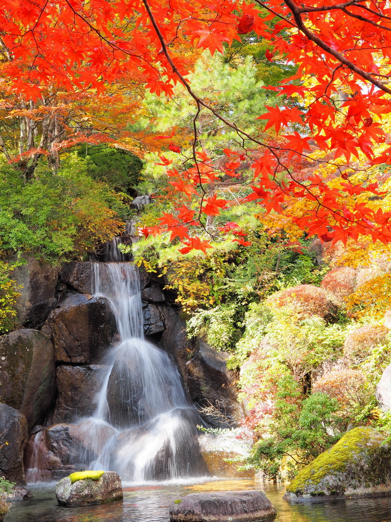 紅葉の庭園