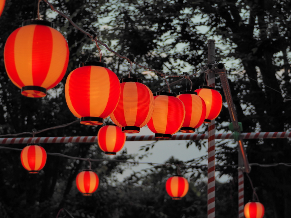 祭りの夜