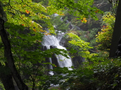 竜頭の滝
