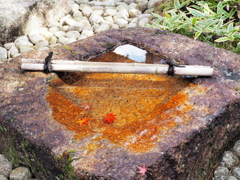 水鉢