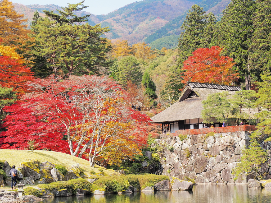 紅葉の庭園