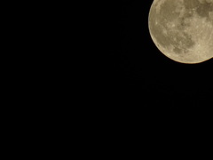今夜のお月様も綺麗だね﻿