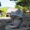 カエル