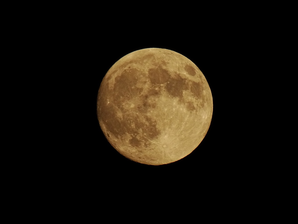 十五夜お月様