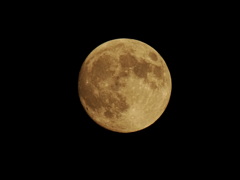 十五夜お月様