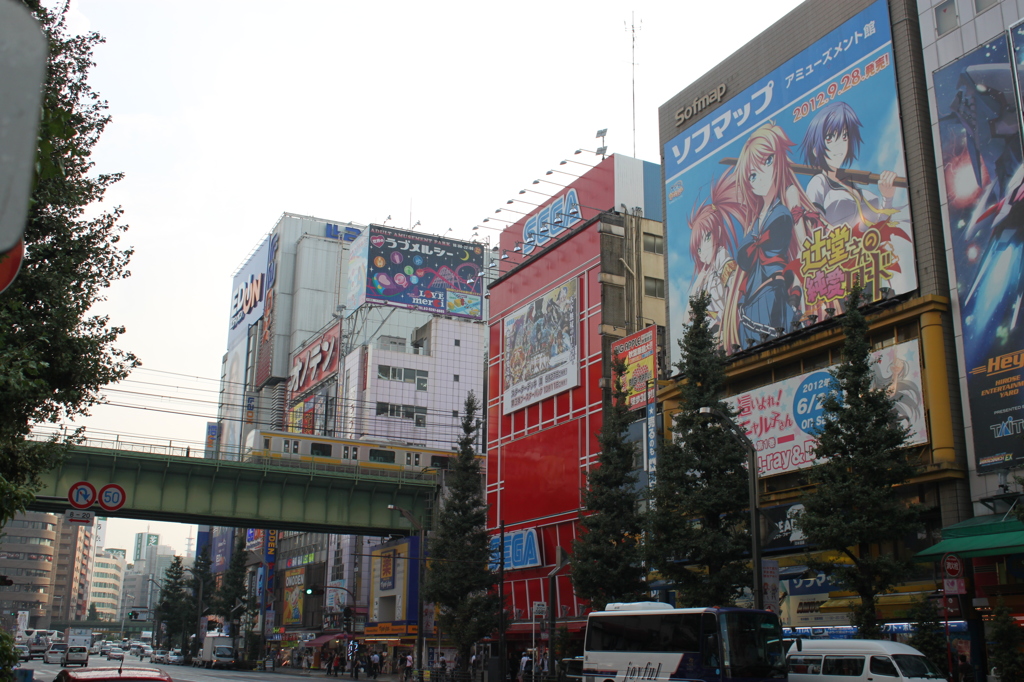 秋葉のよく見る風景