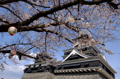 春の熊本城