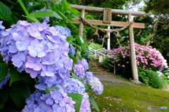住吉自然公園