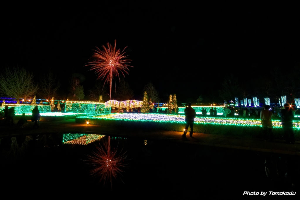 冬の闇夜に咲く花火