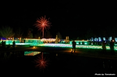 冬の闇夜に咲く花火