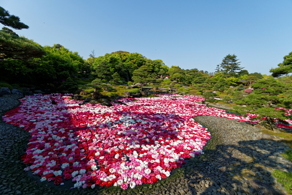 埋め尽くして