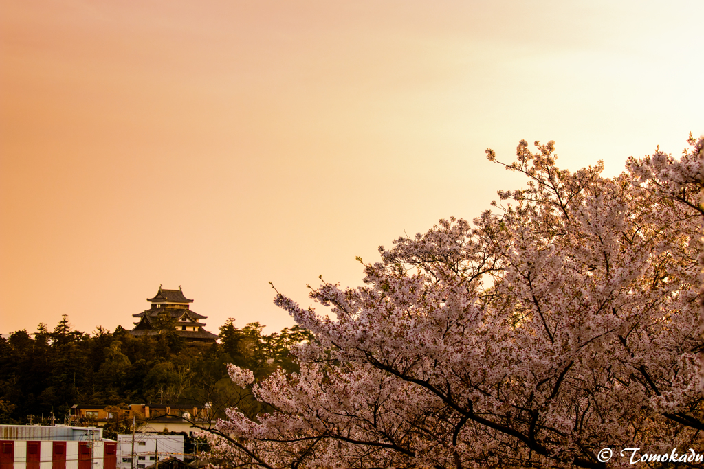 夕暮れ時に臨む