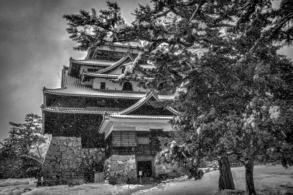 吹きすさぶ雪の中の国宝