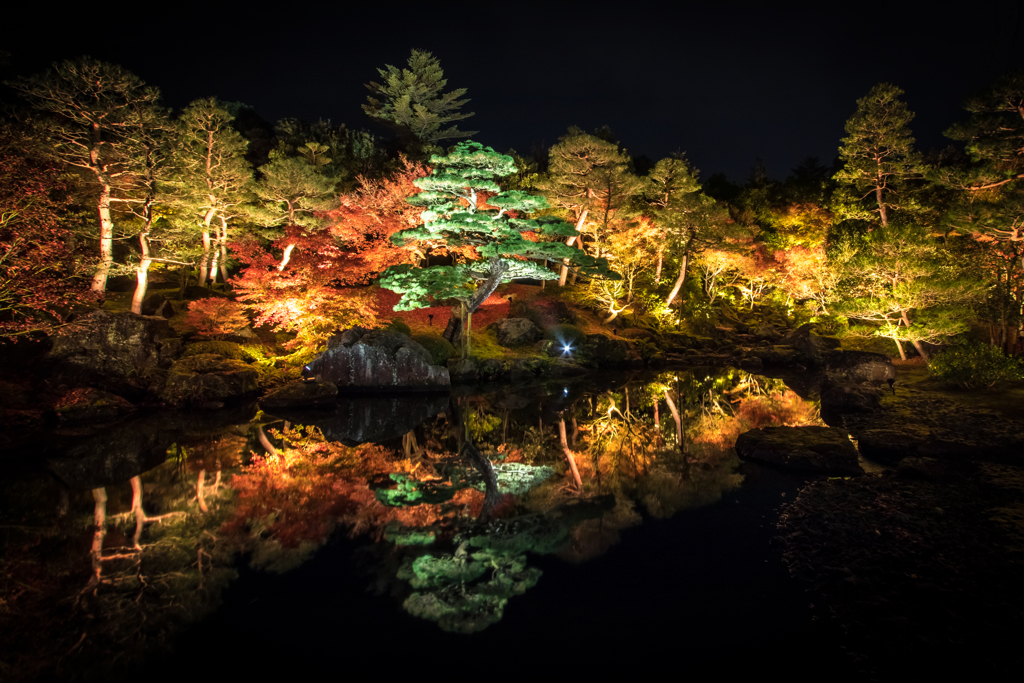 黄金に輝く庭園で2016