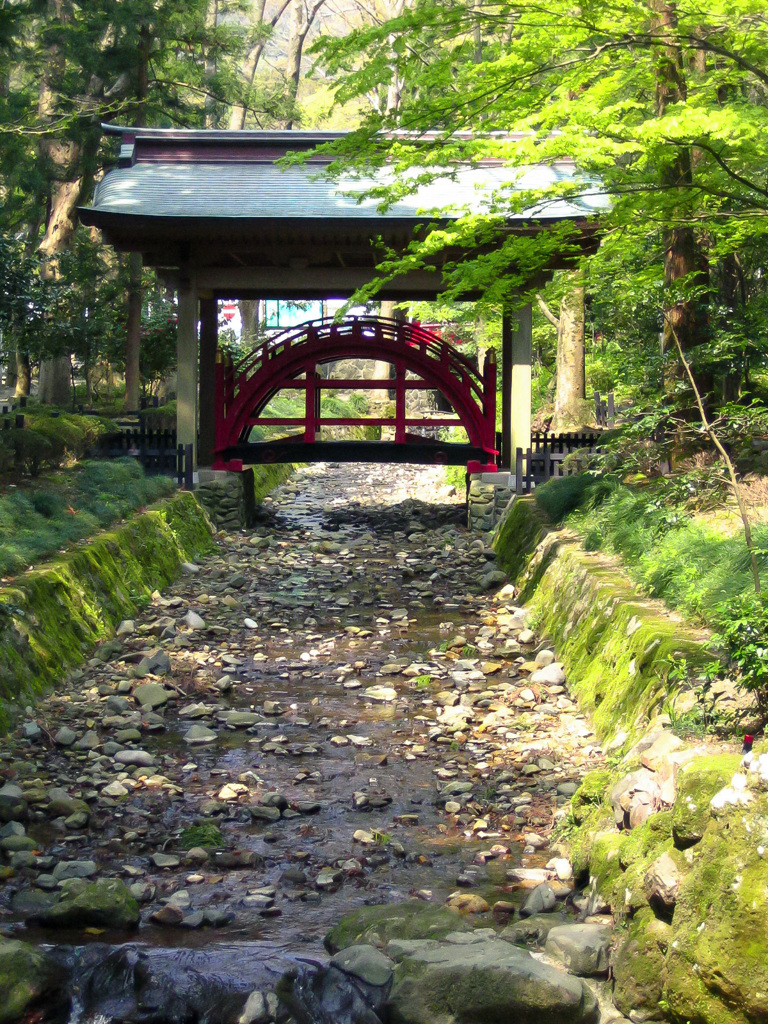 弥彦神社_玉の橋