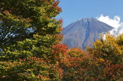 田貫湖紅葉6