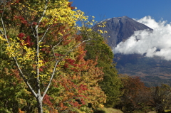 田貫湖紅葉5