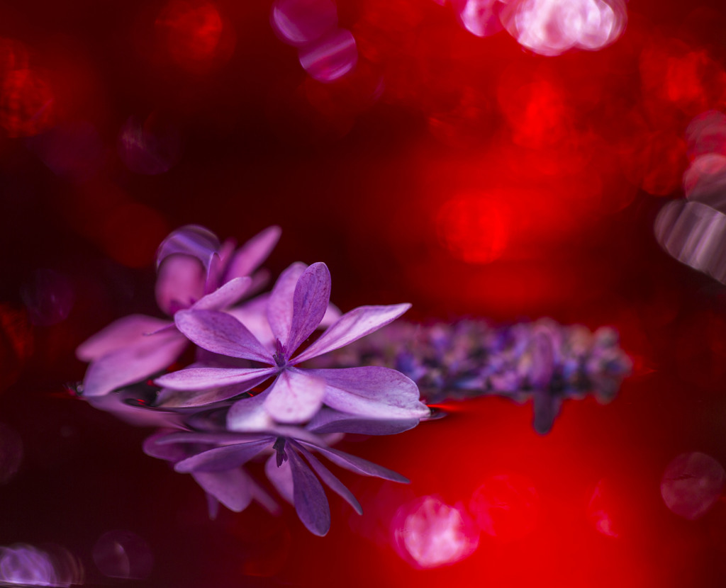 水中花