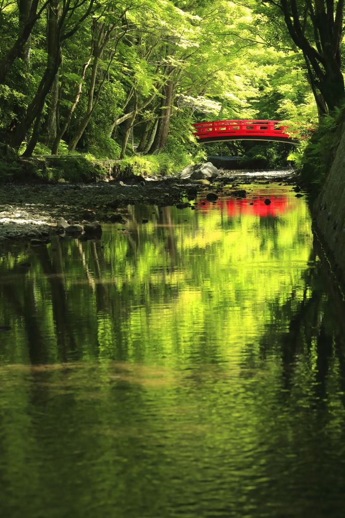 初夏の水辺