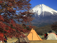 キャンプイン