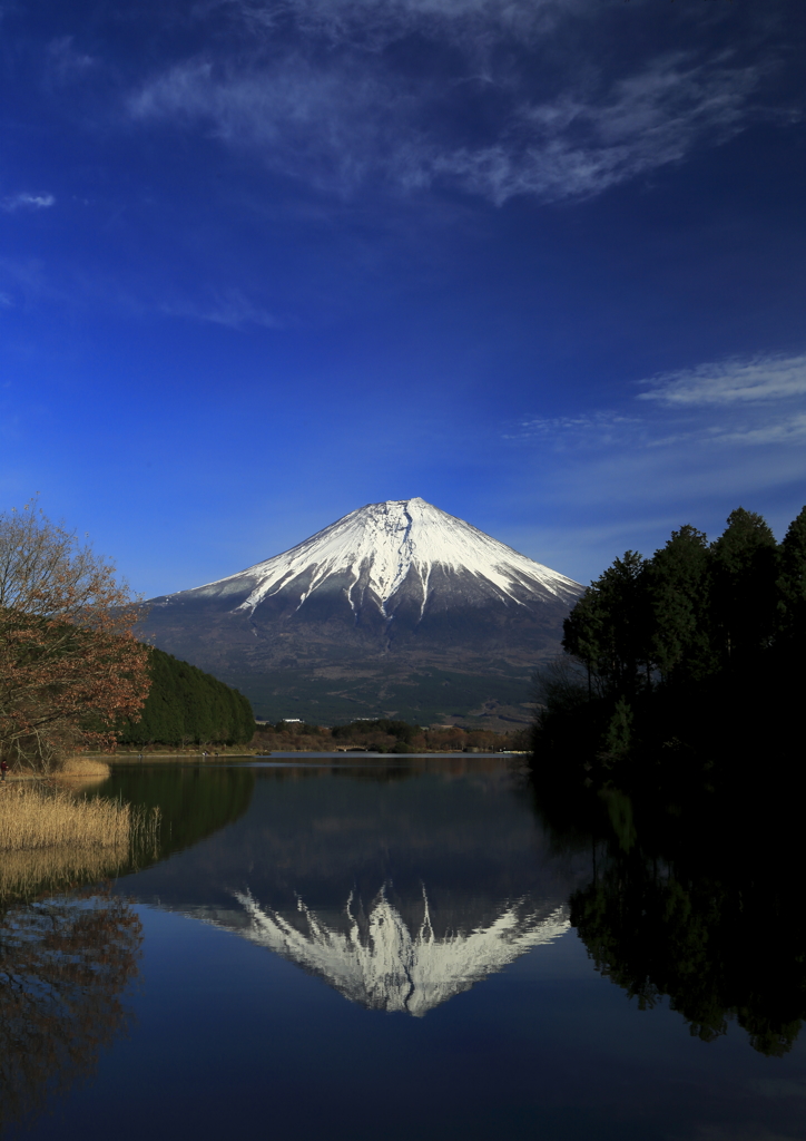 逆さ富士