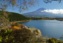 田貫湖紅葉2