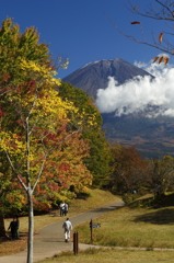 田貫湖紅葉4