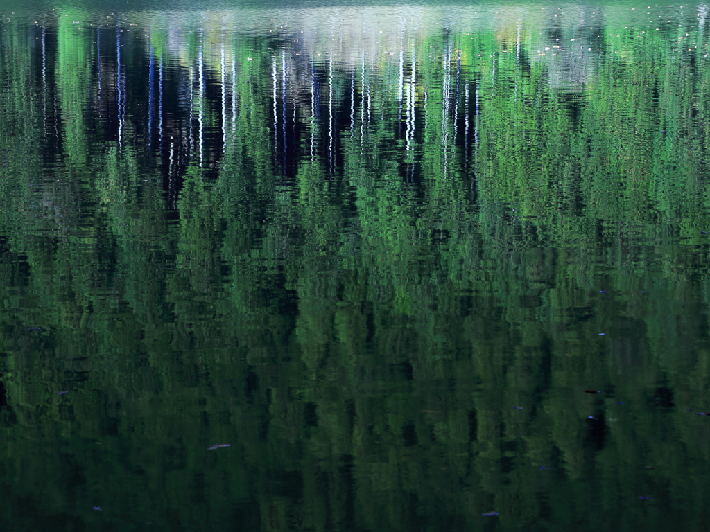 湖面