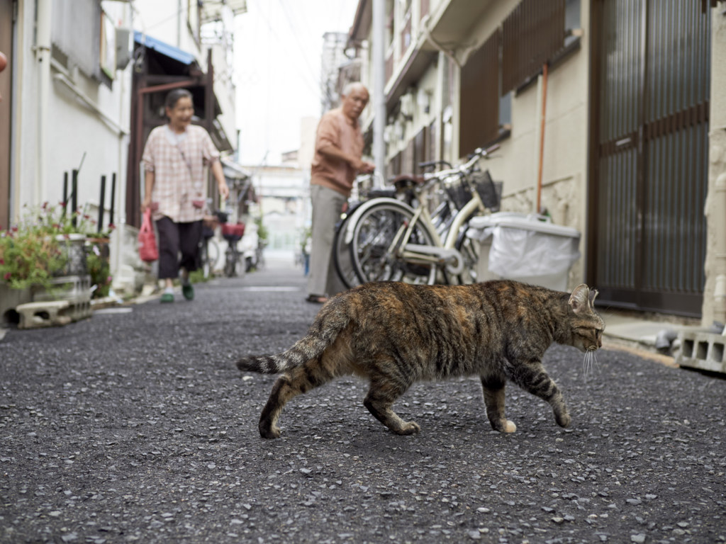 ちょいと失礼