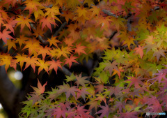 順番待ち