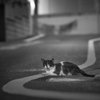 眠れない夜