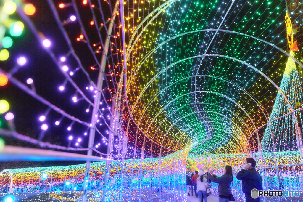 東京ドイツ村 イルミネーション - 2