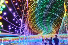 東京ドイツ村 イルミネーション - 2