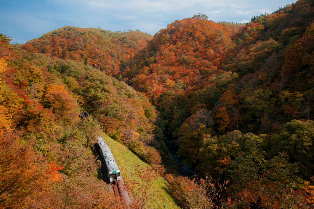 mountains to autumn leaves